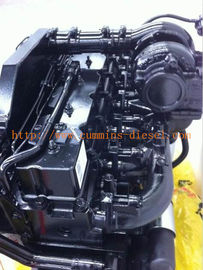 DCEC Cummings Engine 6CTA8.3-C240 Diesel Motor For Industrial Construction Machinery,Water Pumps